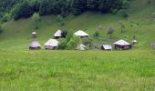 Tour Zu Fuß Oberwischau - RO-Viseu - Poienile de sub munte - Photo 4