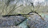 Excursión Senderismo Sint-Truiden - La réserve naturelle Egoven à Saint-Trond - Photo 1