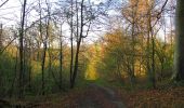 Excursión Senderismo Vieux-Moulin - en forêt de Compiègne_26_la Grotte des Ramoneurs_Tournantes de la Queue de Saint-Etienne et sur la Côte de Roilaye - Photo 7