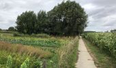 Trail Walking Ypres - Ypres Zillebeke vijver 17 km - Photo 6
