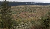 Excursión Senderismo Waimes - Balade dans les Fagnes - Photo 10