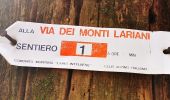 Trail On foot Carate Urio - Carate Urio - Rifugio Murelli - Photo 6