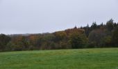 Trail Walking Sprimont - 20241021 - Banneux 6.5 Km - Photo 12