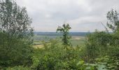 Tocht Stappen Beauraing - randonnée pondrome  - Photo 1