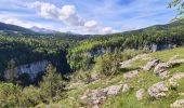 Tour Wandern Villard-de-Lans - Villard de Lans - Balcons et falaises de la Bourne - panorama  - Photo 20