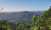 Tour Wandern Le Lorrain - Boucle Morne Jacob - Photo 9