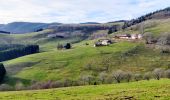 Percorso Marcia Sainte-Marie-aux-Mines - Marche l'après-midi - Photo 2