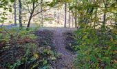 Randonnée Marche Vendôme - Forêt de Vendôme - Bois de l'Oratoire - Photo 11