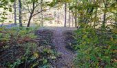 Percorso Marcia Vendôme - Forêt de Vendôme - Bois de l'Oratoire - Photo 11