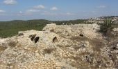 Tour Zu Fuß Regionalverwaltung Mateh Jehuda - לעין מטע - Photo 3