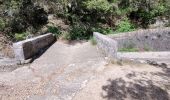 Tocht Stappen Saint-Cézaire-sur-Siagne - Le canal et la rivière de la Siagne  - Photo 8