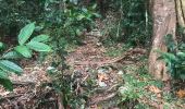 Trail Trail Sainte-Anne - Belle mare  Liard saint Robert  - Photo 4