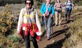 Trail Walking Pluherlin - Rochefort en terre - Photo 15
