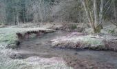 Percorso A piedi Fellen - Schwarzer Fuchs, Rundwanderweg Fellen - Photo 3