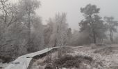Trail Walking Spa - autour de berinzenne - mousseux - Photo 7