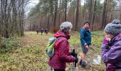 Tocht Stappen Rochefort - Lavaux-Sainte-Anne PVL Nov 2023 - Photo 4