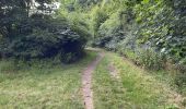 Tour Zu Fuß North Hertfordshire - Walk on the wild side - Photo 6