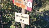 Tour Zu Fuß Vaglia - Sentiero CAI 9 - Sez. Sesto Fiorentino - Photo 7