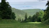 Tocht Stappen La Bresse - Feignes-sous-Vologne / Lac de la Lande / Lac de Blanchemer - Photo 2