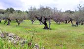 Trail Walking Sainte-Anastasie-sur-Issole - SityTrail - 83 St Quinis grotte  chapelle  - Photo 16