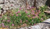 Trail Walking Saint-Guilhem-le-Désert - petite visite se st guilhem le desert - Photo 19
