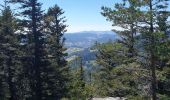 Excursión Senderismo Sainte-Marie-aux-Mines - Col des Bagenelles et les deux Brézouard - Photo 11