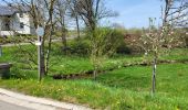 Trail Walking Sainte-Ode - BeauPlateau - Photo 14