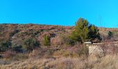 Percorso Marcia Sisteron - sur les hauteurs de sisteron - Photo 14