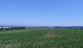 Tour Wandern Sainte-Ode - mesa 3 Amberloup - Photo 4