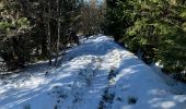 Randonnée Ski de randonnée Saint-Front - 2022 01 RANDONNÉE EN MÉZENC : descente vers Estaples puis La Croix Pecata, roche pointu, les dents du diable, traversée du Lignon. - Photo 6