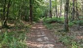 Tocht Stappen La Ferrière - La Ferrière - Photo 9