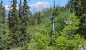 Tocht Stappen Peisey-Nancroix - Peisey Vallandry Les Rossets Col d'Entreporte  - Photo 2