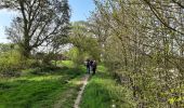 Tour Wandern Huy - Les bois de Ben-Ahin - Photo 2