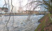 Randonnée Marche Liège - quyntifyon enre belle île et île aux corsaires  - Photo 6