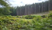 Trail Walking Bouillon - Bellevaux 190923 - Photo 13