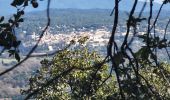 Tour Wandern Bagnols-en-Forêt - Le château du diable - Photo 2