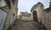 Randonnée Marche Montsoreau - Montsoreau - Candes-Saint-Martin Fontevraud-l'Abbaye - 24.4km 435m 5h40 (45mn) - 2024 07 14 - Photo 5