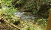 Tocht Stappen Coteaux du Lizon - vallée du Lison - Photo 2