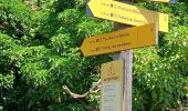 Trail Walking Oppedette - 84-gorges_oppedette_7km240m - Photo 15