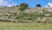 Trail Walking Coursegoules - coursegoules st barnabé  - Photo 14