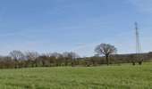 Tour Wandern Welkenrath - 20220411 - Grunhaut 7 Km - Photo 11