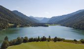 Tocht Te voet Faistenau - Rundwanderweg Hintersee - Photo 1