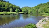 Tocht Stappen Bouillon - rando botassart 24-05-2023 - Photo 20