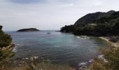 Tocht Stappen La Ciotat - La Ciotat - Photo 6