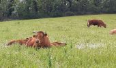 Percorso Marcia Chatuzange-le-Goubet - papelissier - Photo 2