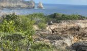 Trail Trail Anse-Bertrand - La mahaudiere - Photo 15