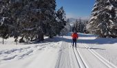 Trail Cross-country skiing La Rippe - germine - Photo 5