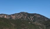 Trail Walking Saint-Raphaël - Cap Roux  - Photo 3