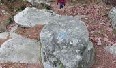 Tour Wandern Fontainebleau - Bas Breau  - Photo 1