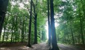 Tour Wandern Bergen - Lieu dit le Bois brûlé  - Photo 12